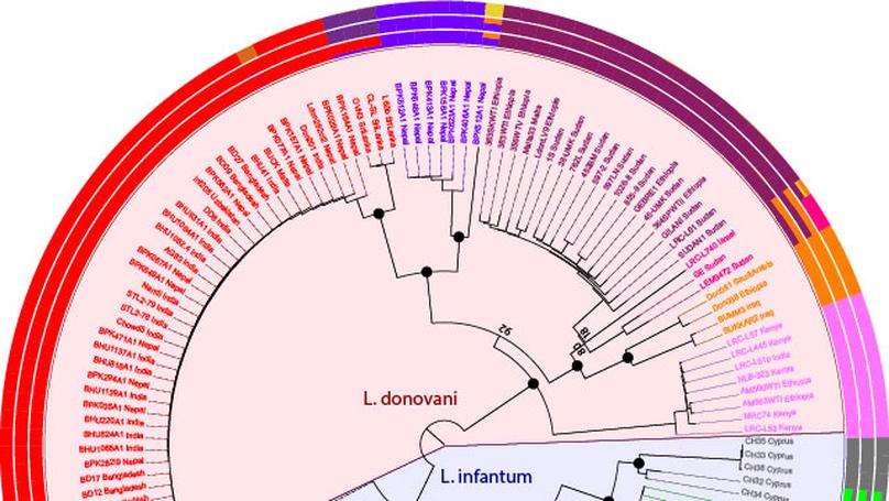 Global genome diversity of the Leishmania donovani complex